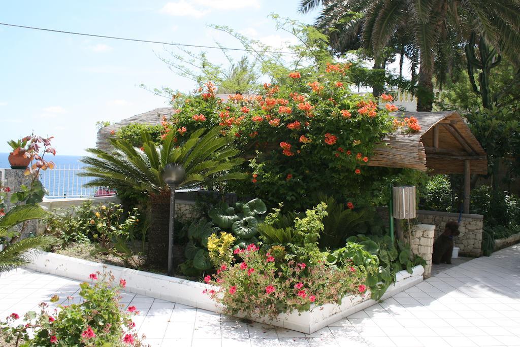 Hotel Villa Bina Sant'Angelo  Dış mekan fotoğraf