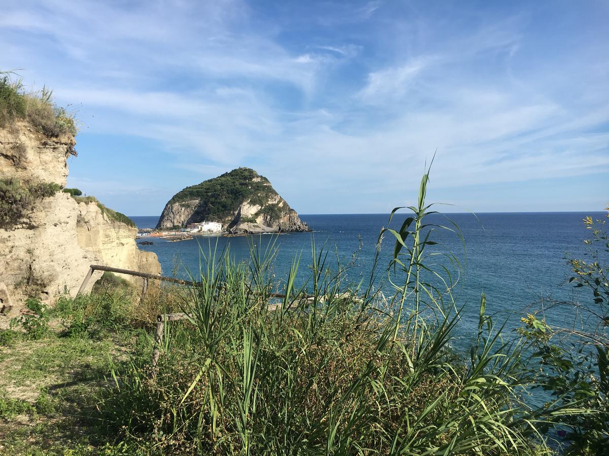 Hotel Villa Bina Sant'Angelo  Dış mekan fotoğraf